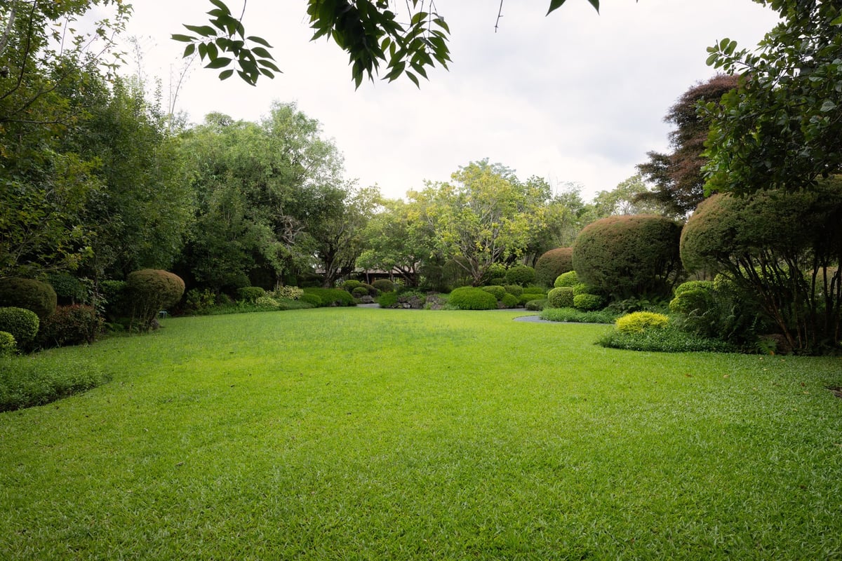 Empty outdoor space in green garden with grass lawn